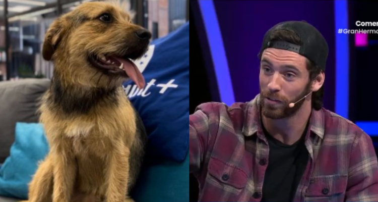 Bigotes (izquierda) y Lucas Crespo (derecha) en referencia a supuesto episodio de maltrato contra el animal en Gran Hermano