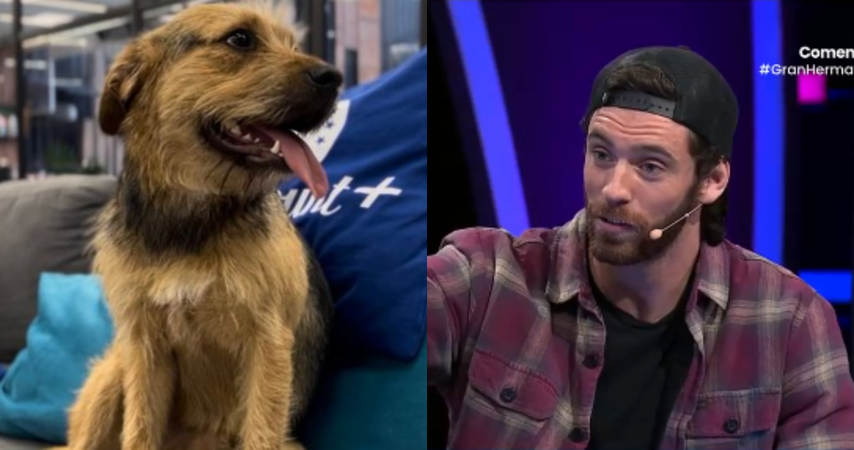 Bigotes (izquierda) y Lucas Crespo (derecha) en referencia a supuesto episodio de maltrato contra el animal en Gran Hermano
