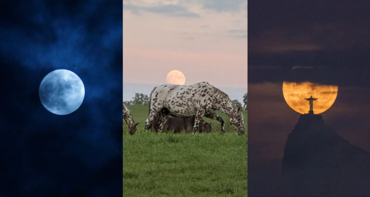 ¿La viste?: La Superluna Azul de 2023 dejó impresionantes postales y no se repetirá hasta el 2037