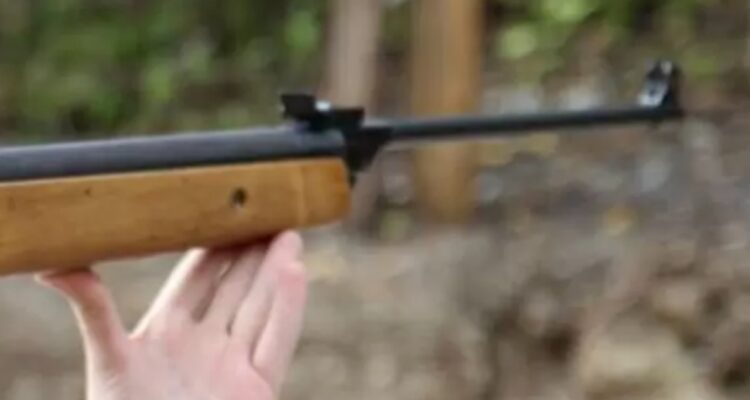 Hombre muere baleado tras presuntamente robar paltas en Quillota