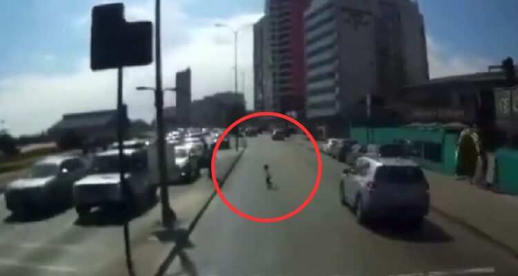Un niño pudo ser atropellado tras cruzar y correr por la calle sin supervisión de adultos en Antofagasta