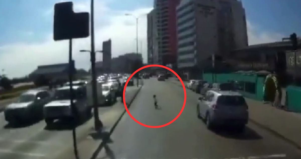 Un niño pudo ser atropellado tras cruzar y correr por la calle sin supervisión de adultos en Antofagasta