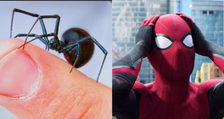 Niño picado por viuda negra para ser Spider-man