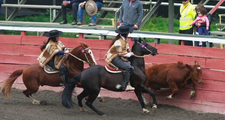 Encuesta Criteria: Solo 10% de los chilenos se sienten identificados con el rodeo como práctica típica