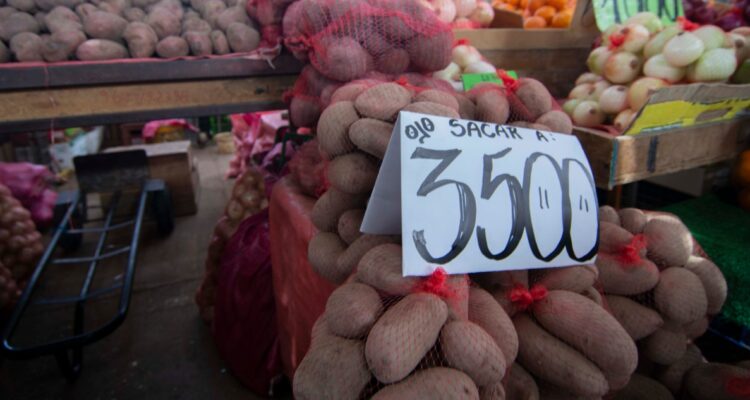 Gremios de la papa estiman que escasez podría extenderse hasta diciembre y leve aumento para 2024