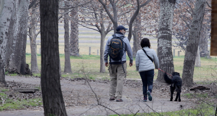 El impacto de las mascotas en la fauna silvestre