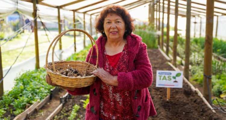 Indap lanza programa enfocado en la transición a la agricultura sostenible