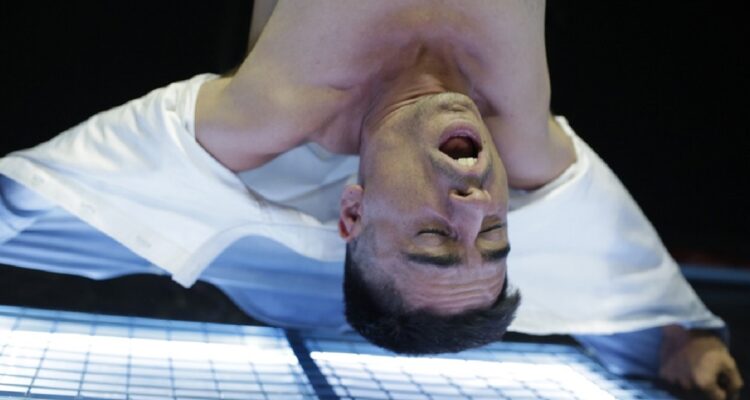 protagonista informe para una academia