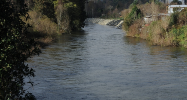 río san pedro santuario