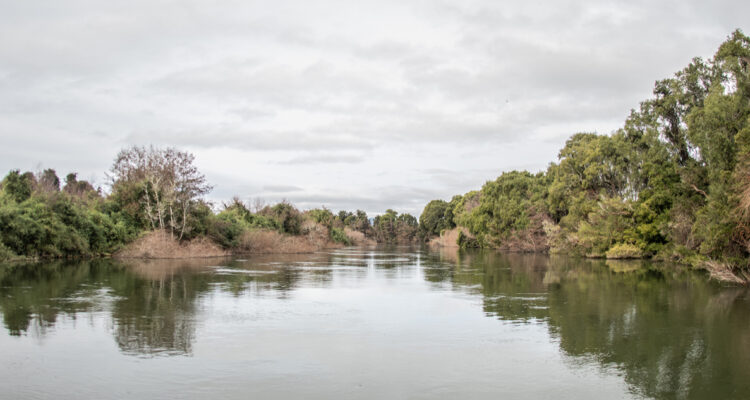 Ruta Toltén Navegable