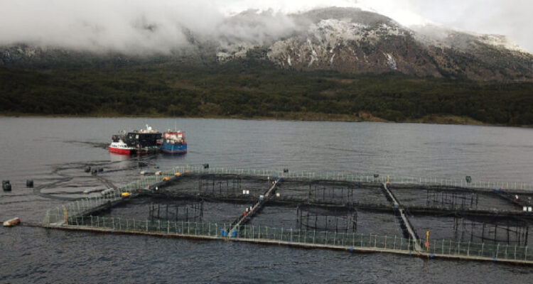 Instalaciones salmoneras