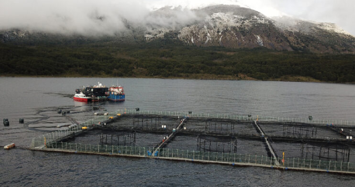Instalaciones salmoneras