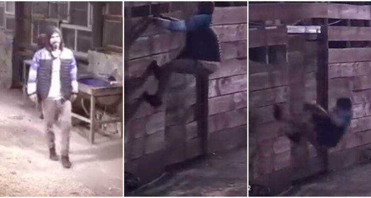 Tras salida de Gran Hermano, viralizan antiguo video de Seba intentando escapar del reality Resistiré