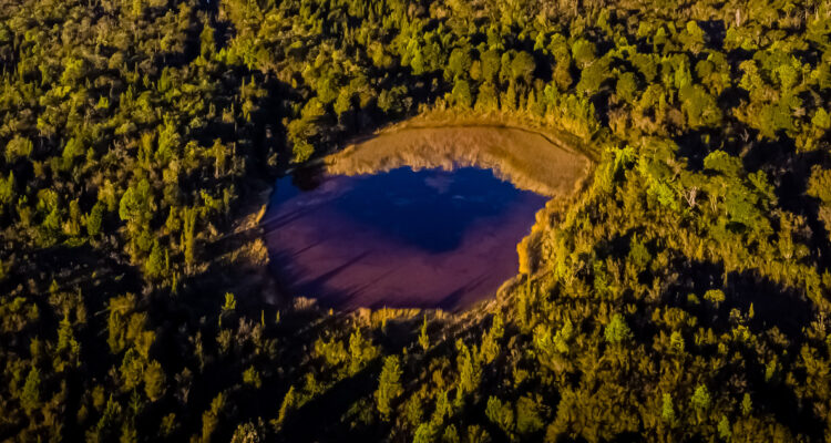 Sistema de monitoreo remoto para humedales