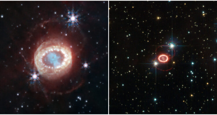 El telescopio James Webb observó la primera supernova vista de cerca en la historia: SN 1987A