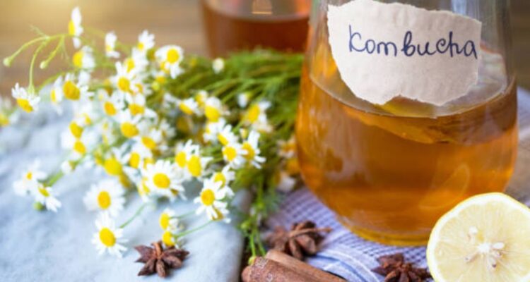 El té kombucha es un brebaje milenario