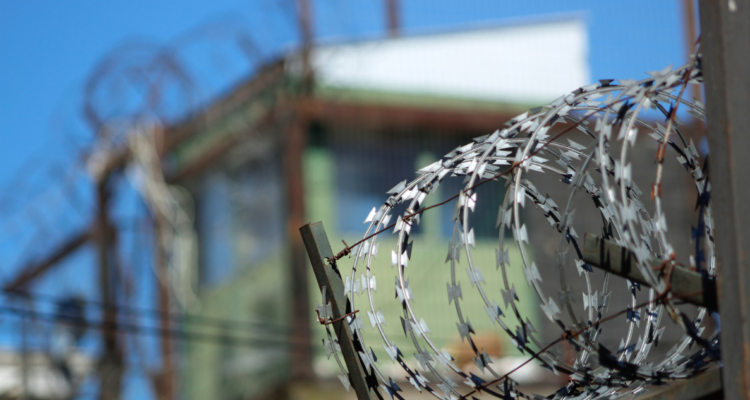 tenencia de celulares