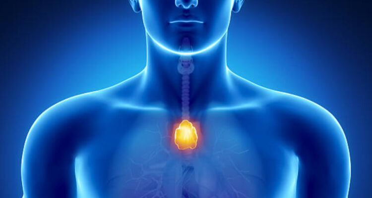 Descubren que la extirpación de un órgano que los médicos creen “inútil” en realidad podría ser mortal