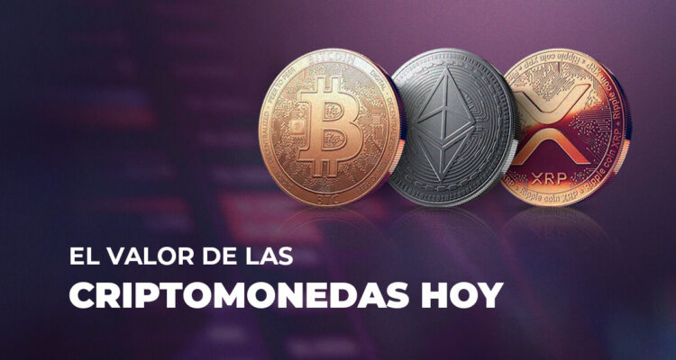 Departamento de Tecnología e Innovación Bío Bío Comunicaciones