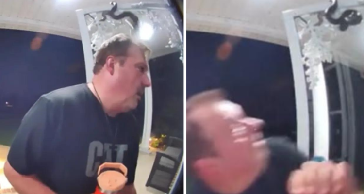 Video de hombre atacado por serpiente