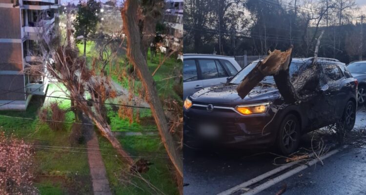 Fuertes vientos generan problemas y cortes de luz en distintos puntos de la RM