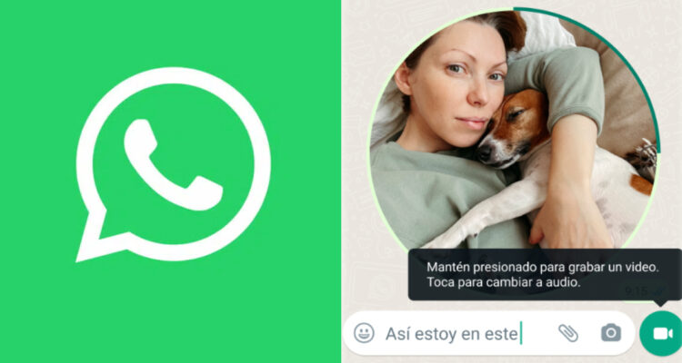 Los audios ya no serán lo mismo: WhatsApp agregó nueva función de mensajes de video instantáneos