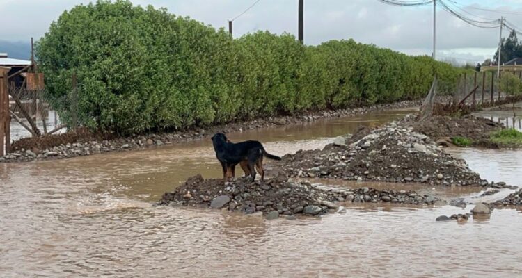 Inundación en Talagante