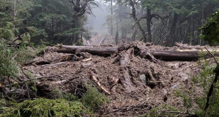 aluvión Cardenal Samoré