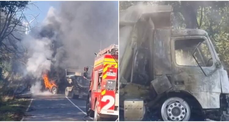 Municipio de Collipulii paraliza funciones tras último ataque incendiario en la comuna