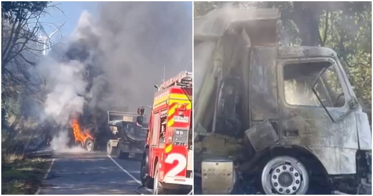 Municipio de Collipulii paraliza funciones tras último ataque incendiario en la comuna