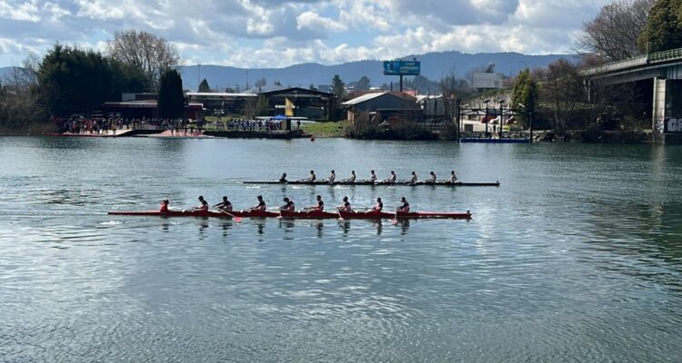 Ataque a remoros en Valdivia