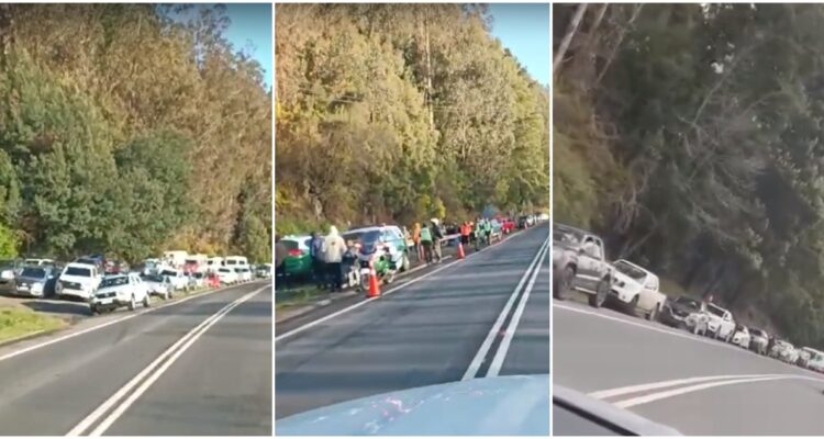 Autos estacionados a un costado de la ruta de la madera para presenciar el Rally