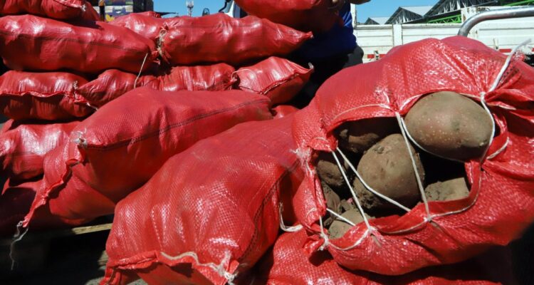 Baja valor de la papa