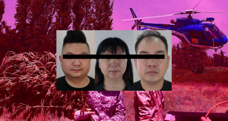 Bang de Fujian: la mafia china que se instaló en Chile con inmigrante ilegales y tráfico de marihuana