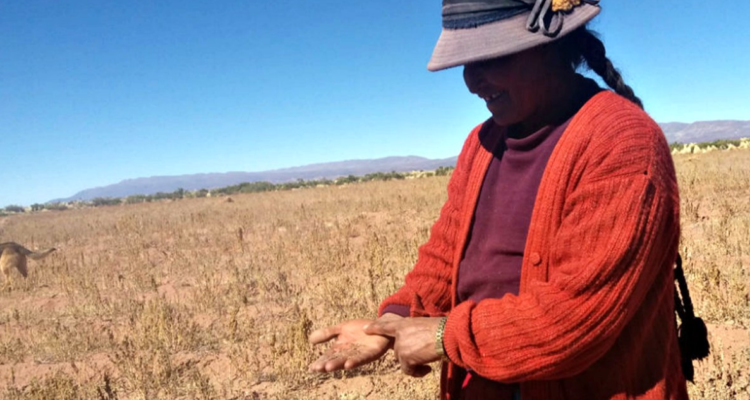 Imagen de boliviana mostrando cómo afecta la sequía en zonas rurales