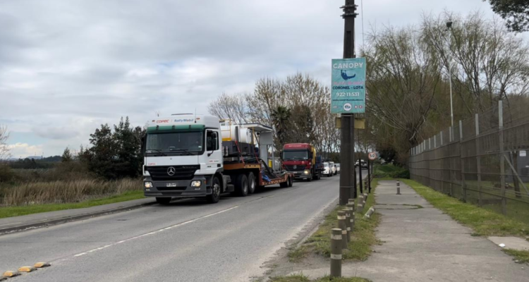 Campeonato Mundial Rally