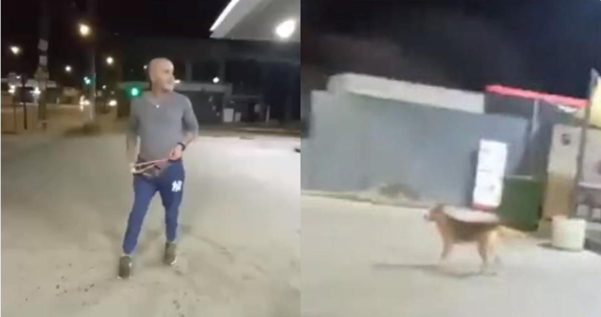 Fiscalía abre investigación de oficio contra sujeto que atacó con una honda a perro en Villa Alemana