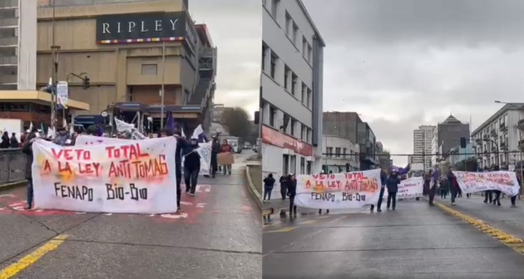 Centenar de vecinos protestan por céntricas calles de Concepción contra denominada Ley Anti-tomas