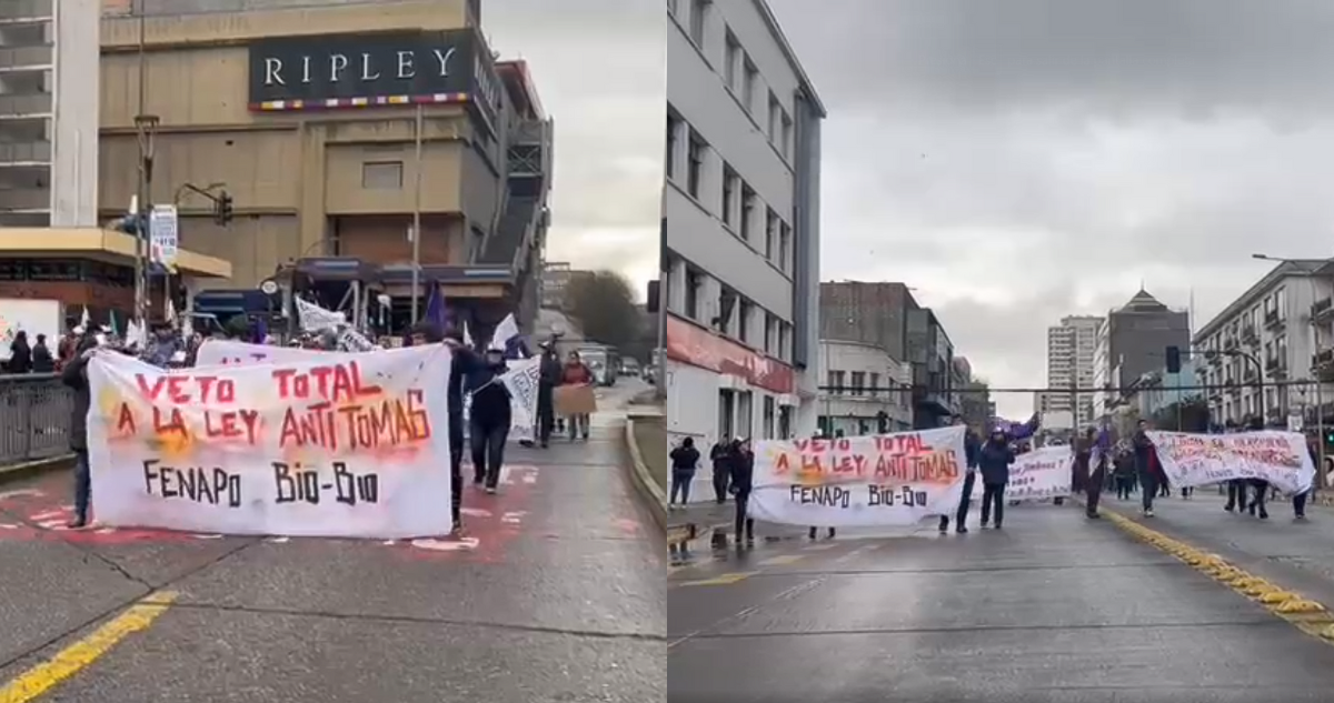 Centenar de vecinos protestan por céntricas calles de Concepción contra denominada Ley Anti-tomas