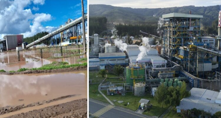 Cambio climático golpea a Celulosa Arauco: anuncia suspensión indefinida de su planta en Licantén