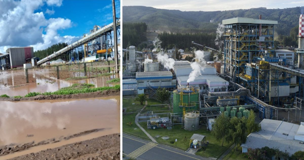 Cambio climático golpea a Celulosa Arauco: anuncia suspensión indefinida de su planta en Licantén