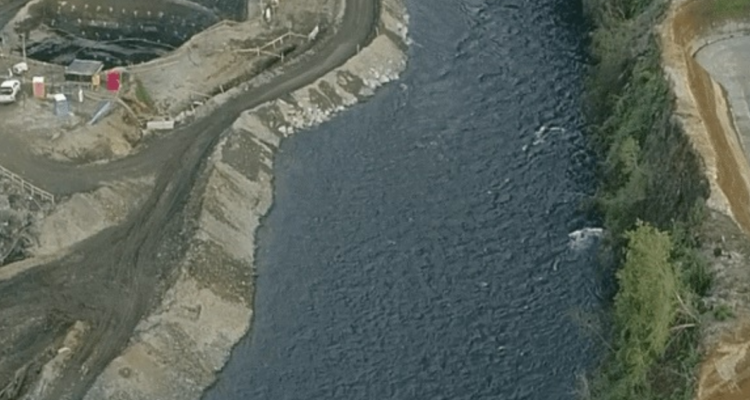 central consulta indígena