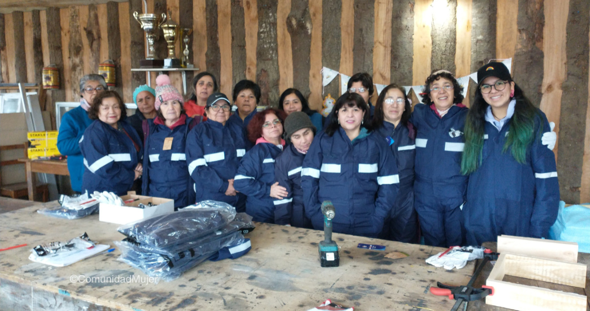 "Mujeres por la Equidad": ComunidadMujer distingue 10 proyectos sociales que promueven la igualdad