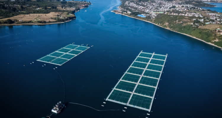 concesiones acuícolas