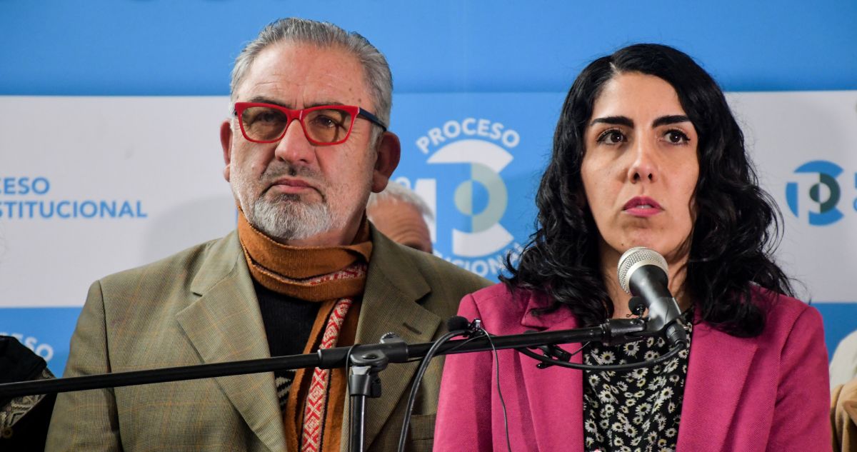 consejo constitucional