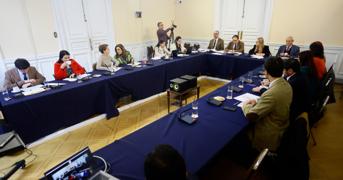 consejo constitucional