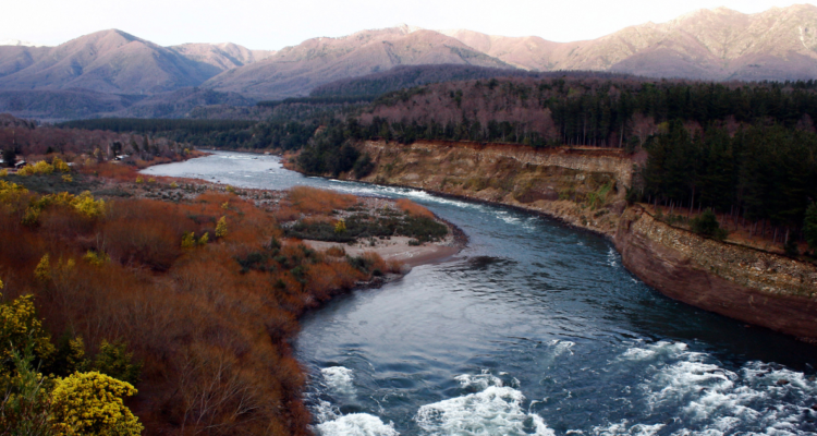 Madre muere tras intentar cruzar río a caballo para ir a dejar a su hijo al colegio en Alto Bío Bío