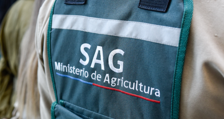 SAG Los Lagos confirma sumario por presuntos sobornos y coimas que involucraría a un funcionario