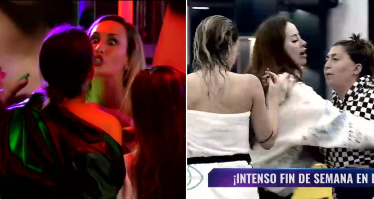 Peleas entre Cony, Fran y Pincoya