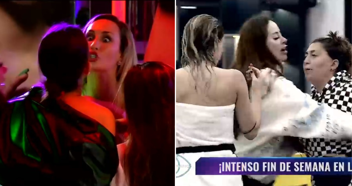 Peleas entre Cony, Fran y Pincoya